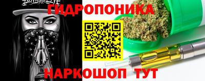 spice Обнинск