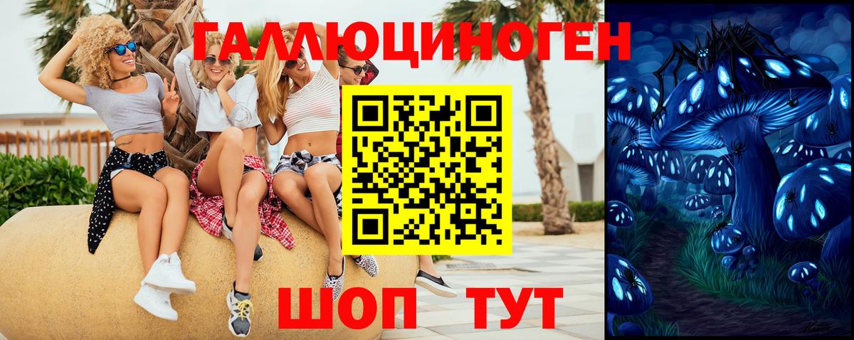 Галлюциногенные грибы GOLDEN TEACHER Сургут