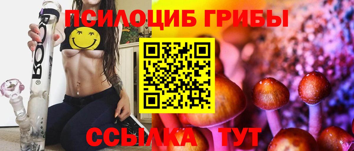 Галлюциногенные грибы Cubensis  Вход с VPN  Сургут 