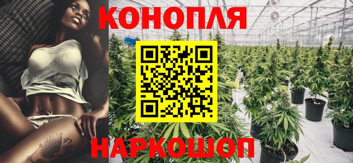 Шишки марихуана семена Сургут